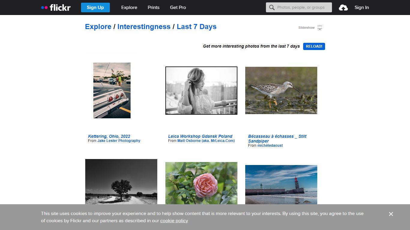 Get more interesting photos from the last 7 days - Flickr